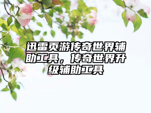 迅雷页游传奇世界辅助工具，传奇世界升级辅助工具