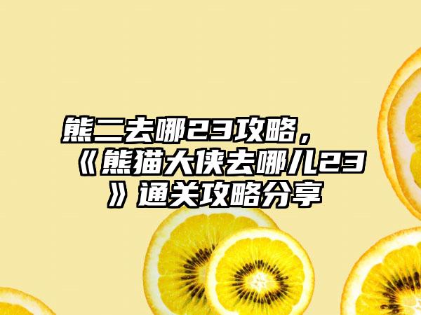 熊二去哪23攻略，《熊猫大侠去哪儿23》通关攻略分享