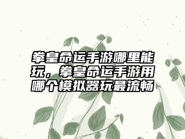 拳皇命运手游哪里能玩，拳皇命运手游用哪个模拟器玩最流畅