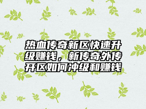 热血传奇新区快速升级赚钱，新传奇外传开区如何冲级和赚钱