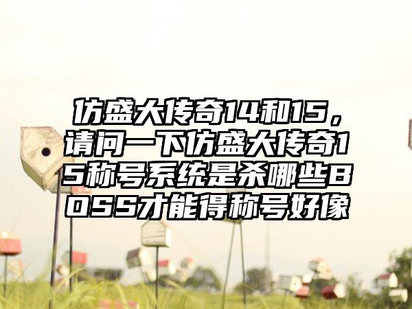 仿盛大传奇14和15，请问一下仿盛大传奇15称号系统是杀哪些BOSS才能得称号好像