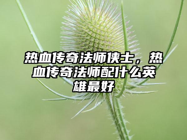 热血传奇法师侠士，热血传奇法师配什么英雄最好