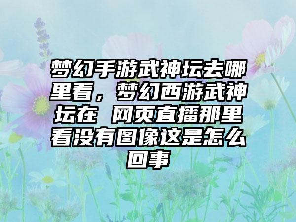 梦幻手游武神坛去哪里看，梦幻西游武神坛在 网页直播那里看没有图像这是怎么回事