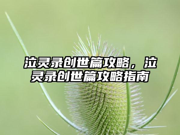 泣灵录创世篇攻略，泣灵录创世篇攻略指南