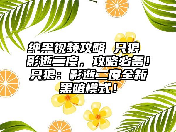 纯黑视频攻略 只狼 影逝二度，攻略必备！只狼：影逝二度全新黑暗模式！