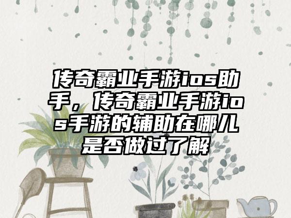 传奇霸业手游ios助手，传奇霸业手游ios手游的辅助在哪儿是否做过了解