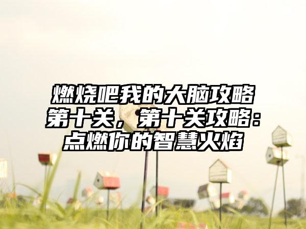 燃烧吧我的大脑攻略第十关，第十关攻略：点燃你的智慧火焰