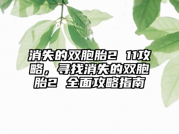 消失的双胞胎2 11攻略，寻找消失的双胞胎2 全面攻略指南