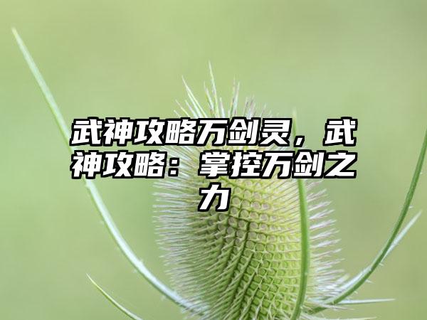 武神攻略万剑灵，武神攻略：掌控万剑之力