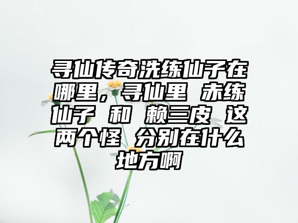 寻仙传奇洗练仙子在哪里，寻仙里 赤练仙子 和 赖三皮 这两个怪 分别在什么地方啊