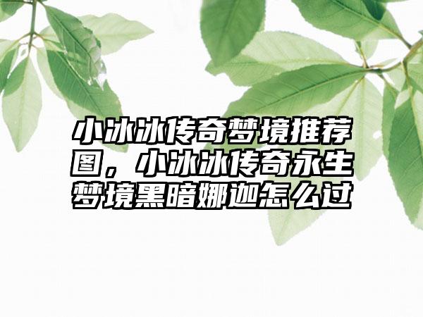 小冰冰传奇梦境推荐图，小冰冰传奇永生梦境黑暗娜迦怎么过