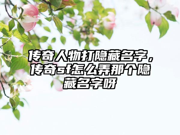 传奇人物打隐藏名字，传奇sf怎么弄那个隐藏名字呀