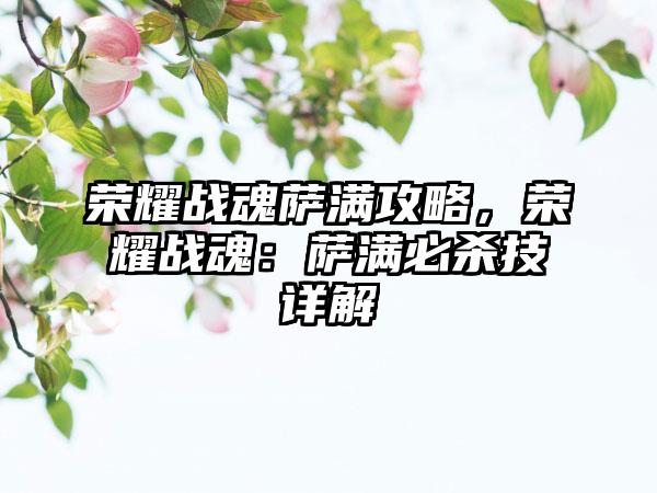 荣耀战魂萨满攻略，荣耀战魂：萨满必杀技详解