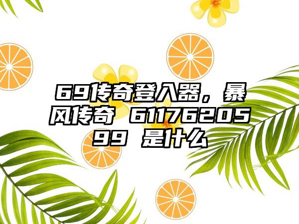 69传奇登入器，暴风传奇 6117620599 是什么