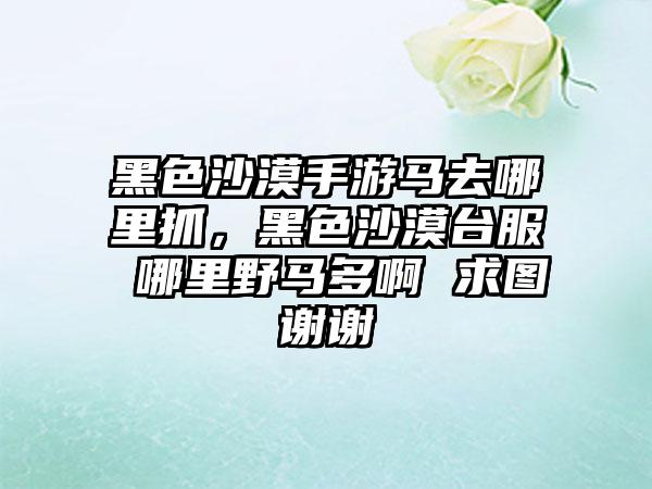 黑色沙漠手游马去哪里抓，黑色沙漠台服 哪里野马多啊 求图谢谢