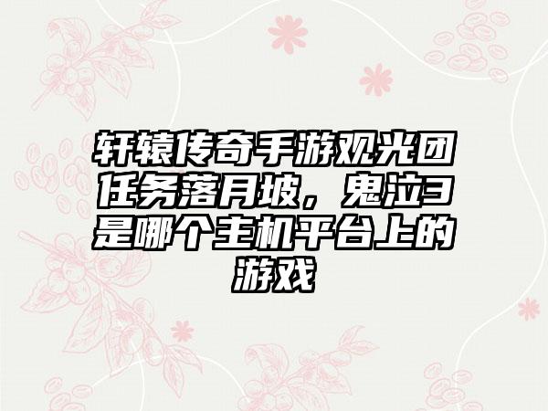 轩辕传奇手游观光团任务落月坡，鬼泣3是哪个主机平台上的游戏