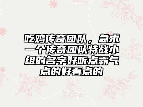 吃鸡传奇团队，急求一个传奇团队特战小组的名字好听点霸气点的好看点的