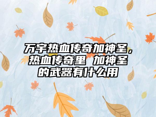 万宇热血传奇加神圣，热血传奇里 加神圣的武器有什么用
