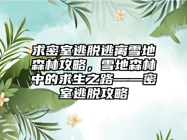 求密室逃脱逃离雪地森林攻略，雪地森林中的求生之路——密室逃脱攻略