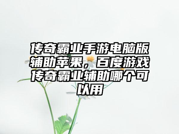 传奇霸业手游电脑版辅助苹果，百度游戏传奇霸业辅助哪个可以用