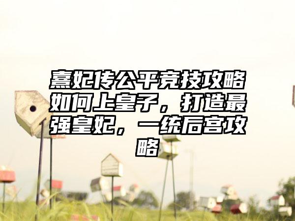 熹妃传公平竞技攻略如何上皇子，打造最强皇妃，一统后宫攻略