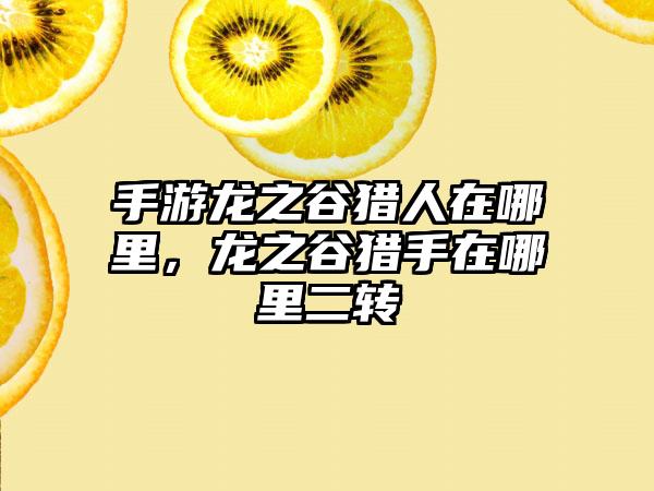 手游龙之谷猎人在哪里，龙之谷猎手在哪里二转