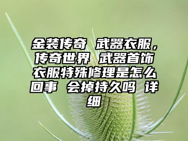金装传奇 武器衣服，传奇世界 武器首饰衣服特殊修理是怎么回事 会掉持久吗 详细