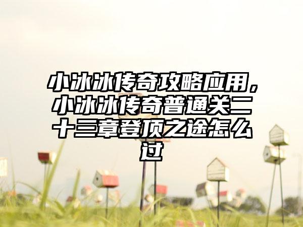 小冰冰传奇攻略应用，小冰冰传奇普通关二十三章登顶之途怎么过