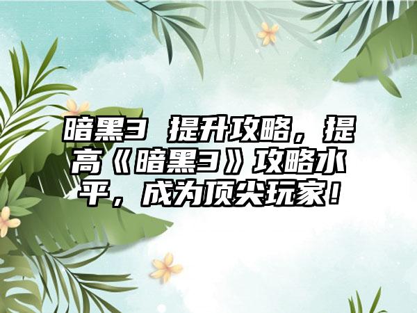 暗黑3 提升攻略，提高《暗黑3》攻略水平，成为顶尖玩家！