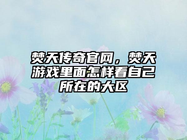 焚天传奇官网，焚天游戏里面怎样看自己所在的大区