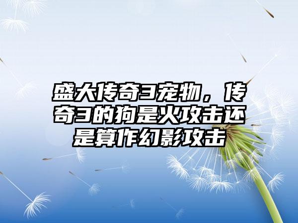盛大传奇3宠物，传奇3的狗是火攻击还是算作幻影攻击