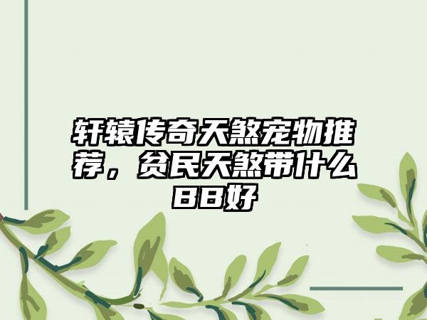 轩辕传奇天煞宠物推荐，贫民天煞带什么BB好