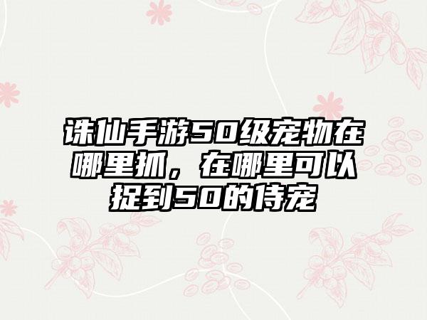 诛仙手游50级宠物在哪里抓，在哪里可以捉到50的侍宠