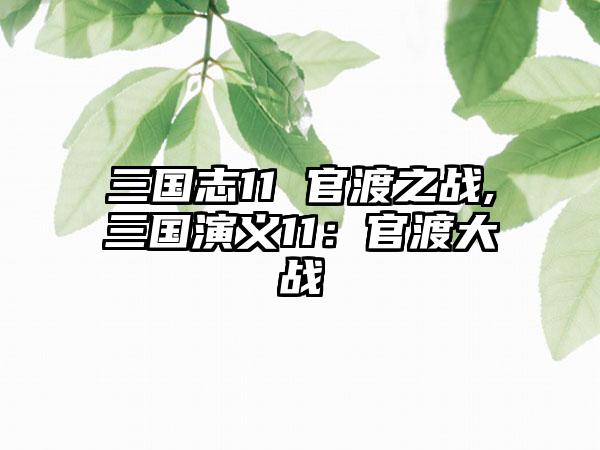 三国志11 官渡之战,三国演义11：官渡大战