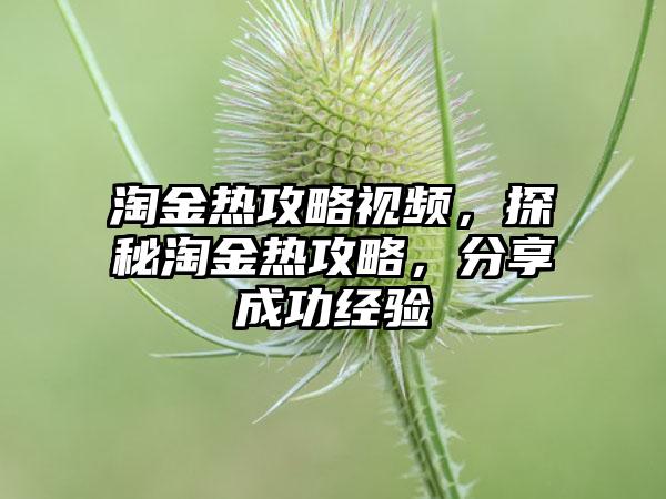 淘金热攻略视频，探秘淘金热攻略，分享成功经验