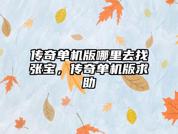 传奇单机版哪里去找张宝，传奇单机版求助