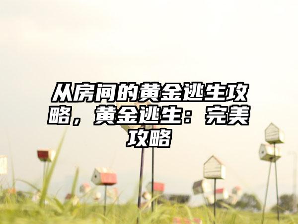 从房间的黄金逃生攻略，黄金逃生：完美攻略