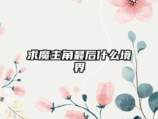 求魔主角最后什么境界