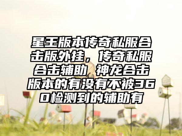 星王版本传奇私服合击版外挂，传奇私服合击辅助 神龙合击版本的有没有不被360检测到的辅助有