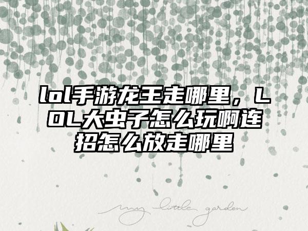 lol手游龙王走哪里，LOL大虫子怎么玩啊连招怎么放走哪里