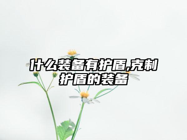 什么装备有护盾,克制护盾的装备