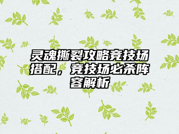 灵魂撕裂攻略竞技场搭配，竞技场必杀阵容解析
