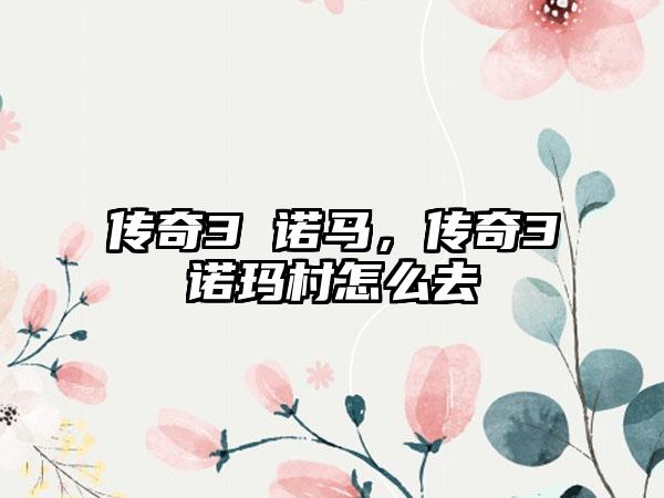传奇3 诺马，传奇3诺玛村怎么去