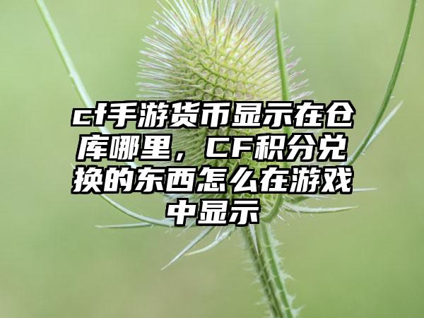 cf手游货币显示在仓库哪里，CF积分兑换的东西怎么在游戏中显示