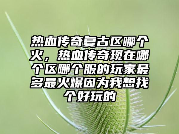 热血传奇复古区哪个火，热血传奇现在哪个区哪个服的玩家最多最火爆因为我想找个好玩的