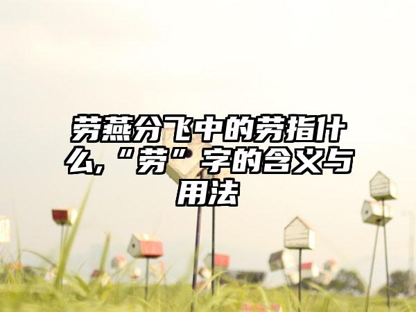 劳燕分飞中的劳指什么,“劳”字的含义与用法