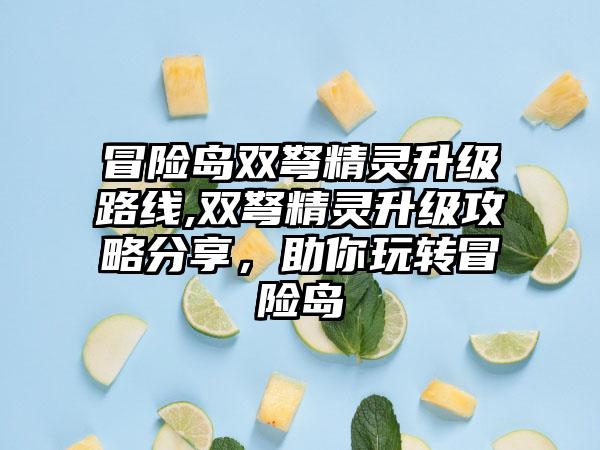 冒险岛双弩精灵升级路线,双弩精灵升级攻略分享，助你玩转冒险岛