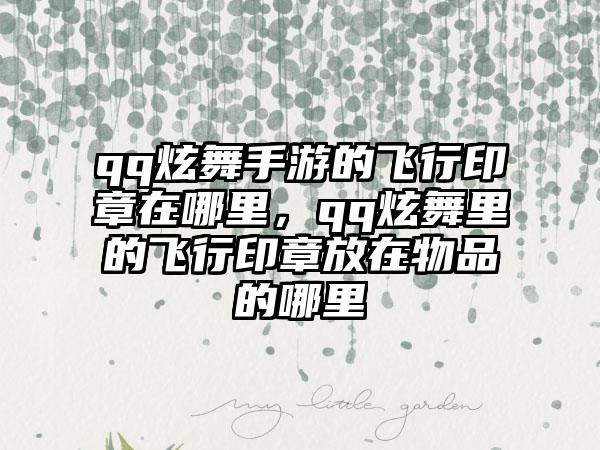qq炫舞手游的飞行印章在哪里，qq炫舞里的飞行印章放在物品的哪里