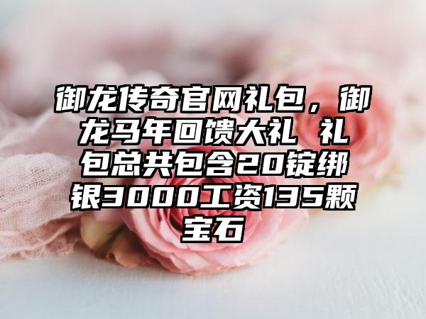 御龙传奇官网礼包，御龙马年回馈大礼 礼包总共包含20锭绑银3000工资135颗宝石