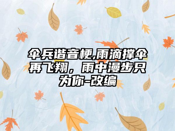 伞兵谐音梗,雨滴撑伞再飞翔，雨中漫步只为你-改编